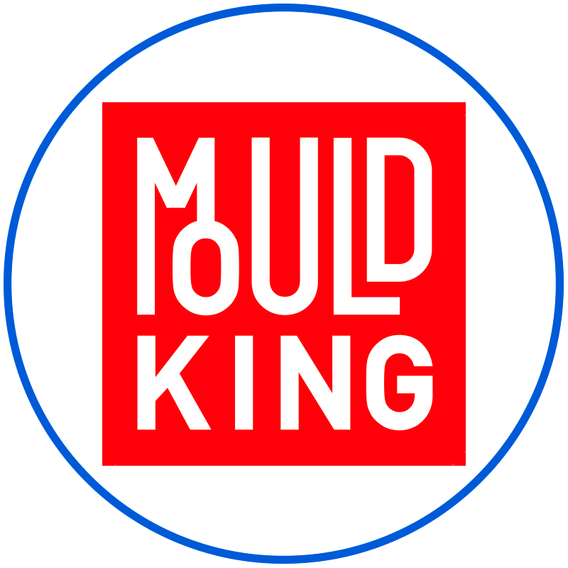 Logo Mould King