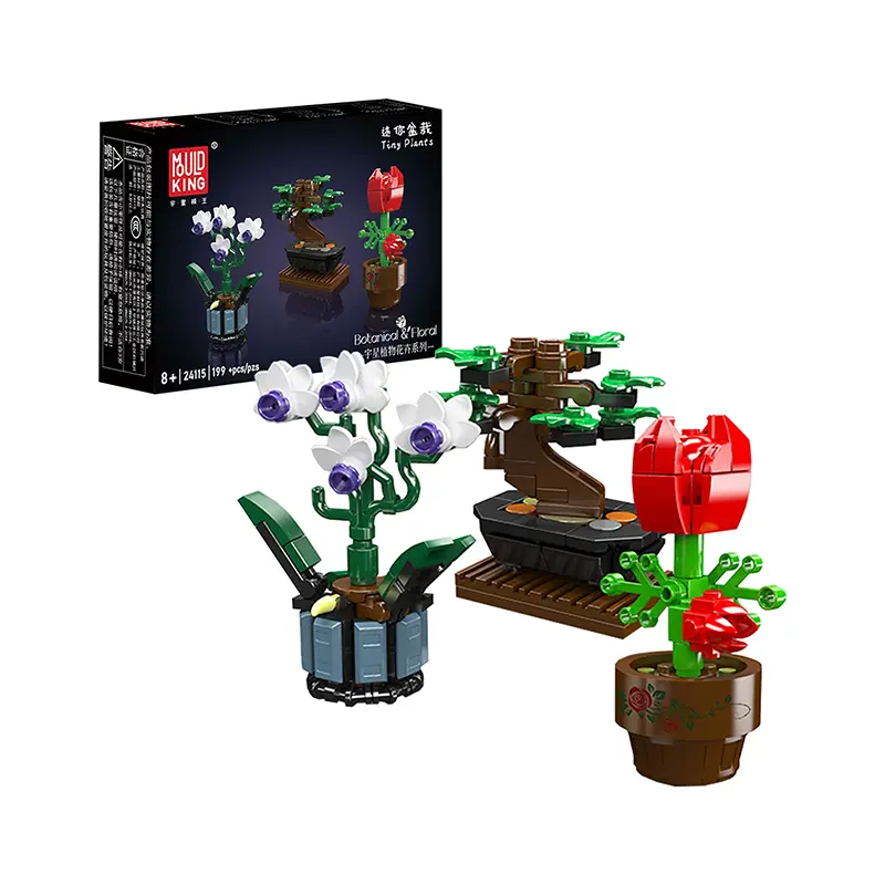 Mini Jardín en Maceta