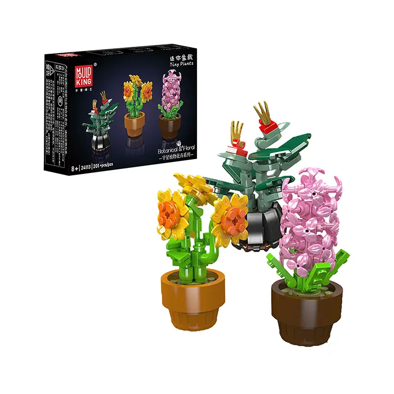 Mini Plantas en Maceta